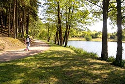 Lac des Sapins